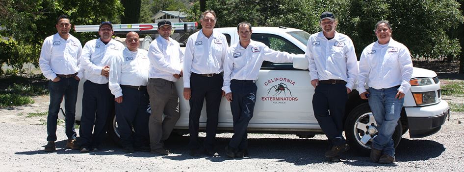 About Us | California Exterminators Alliance